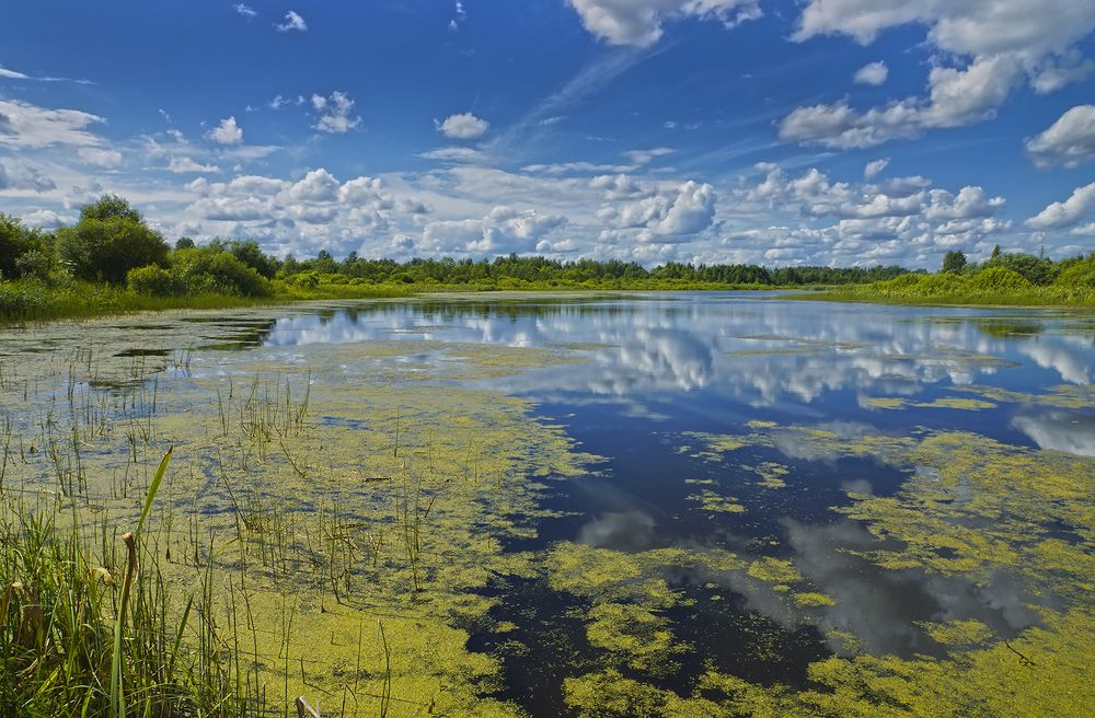 Петровское озеро