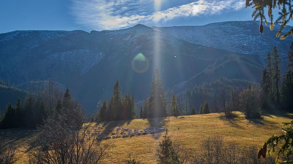 Photograph by Peter Pochyly