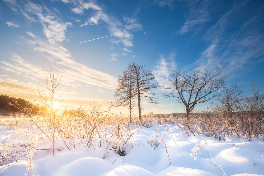 Photograph by Дмитрий Шадрин