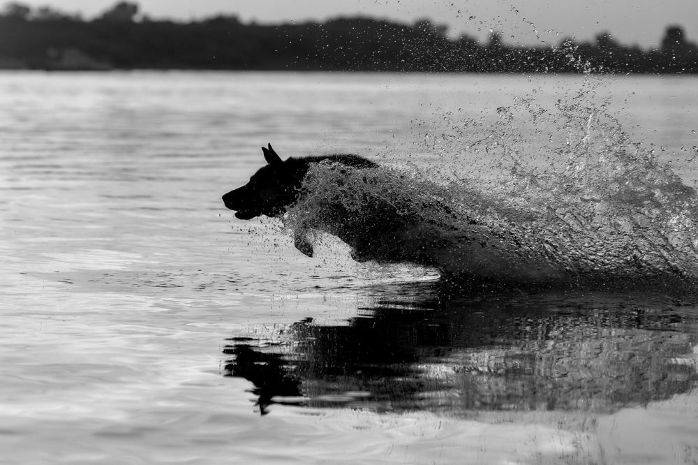 Photograph by Андрей Коротецкий