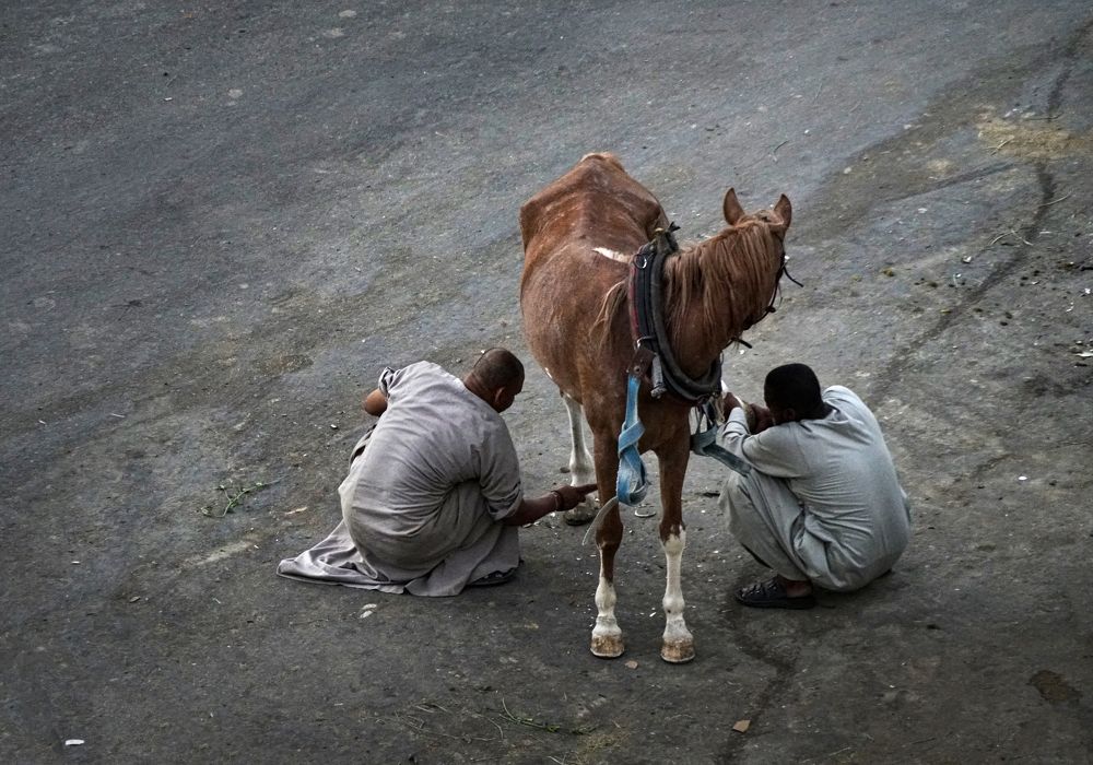 Photograph by Eduardo Modolo
