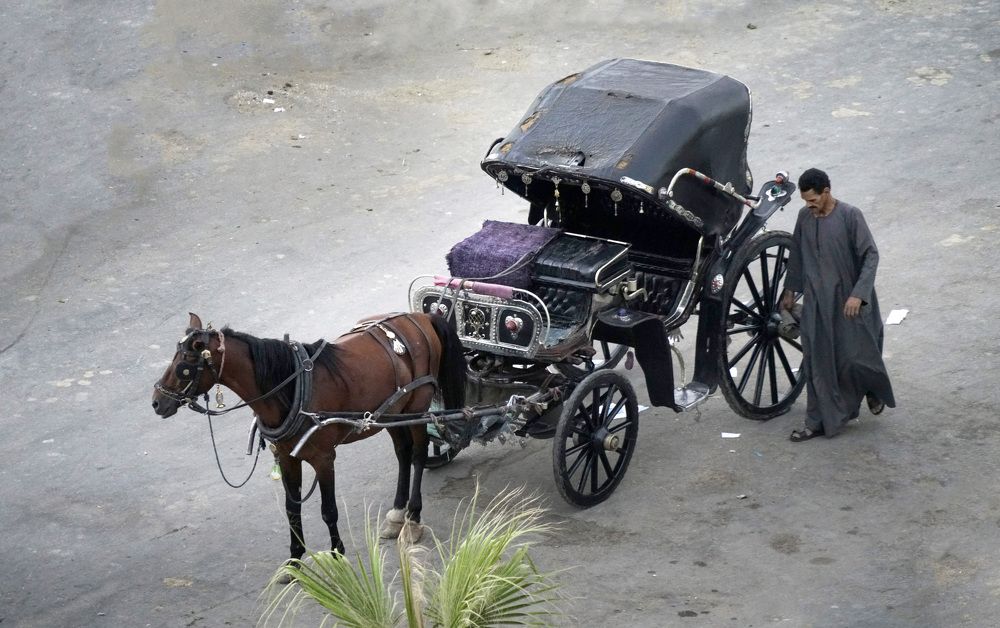 Photograph by Eduardo Modolo