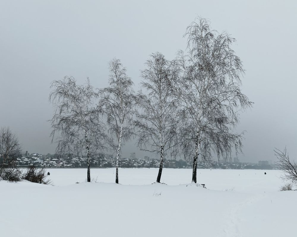 Photograph by Александра Шабаева