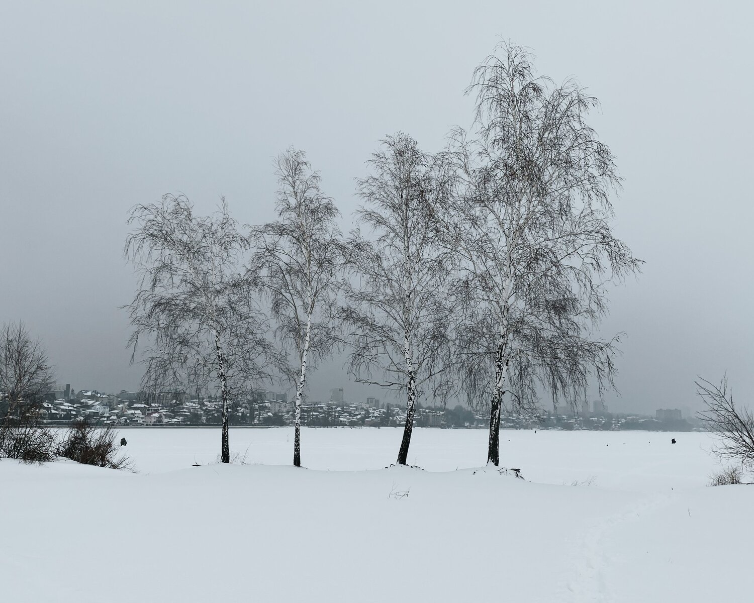Photo #8514980