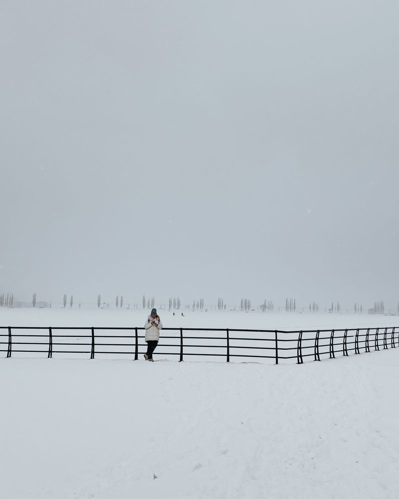 Photograph by Александра Шабаева