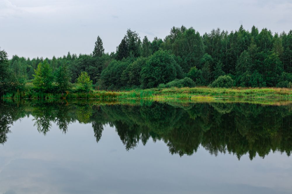 Photograph by Антон Сарвилин