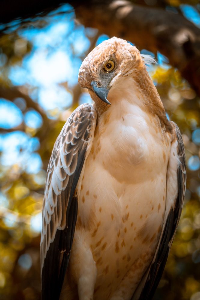 Photograph by Thusitha Dananjaya