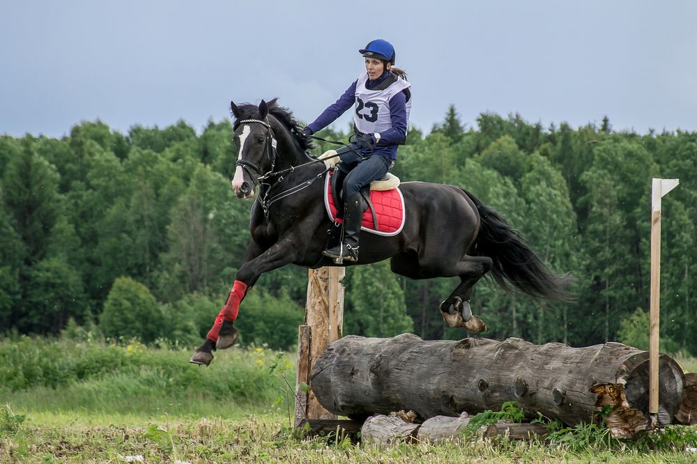Photograph by Елена Соколова