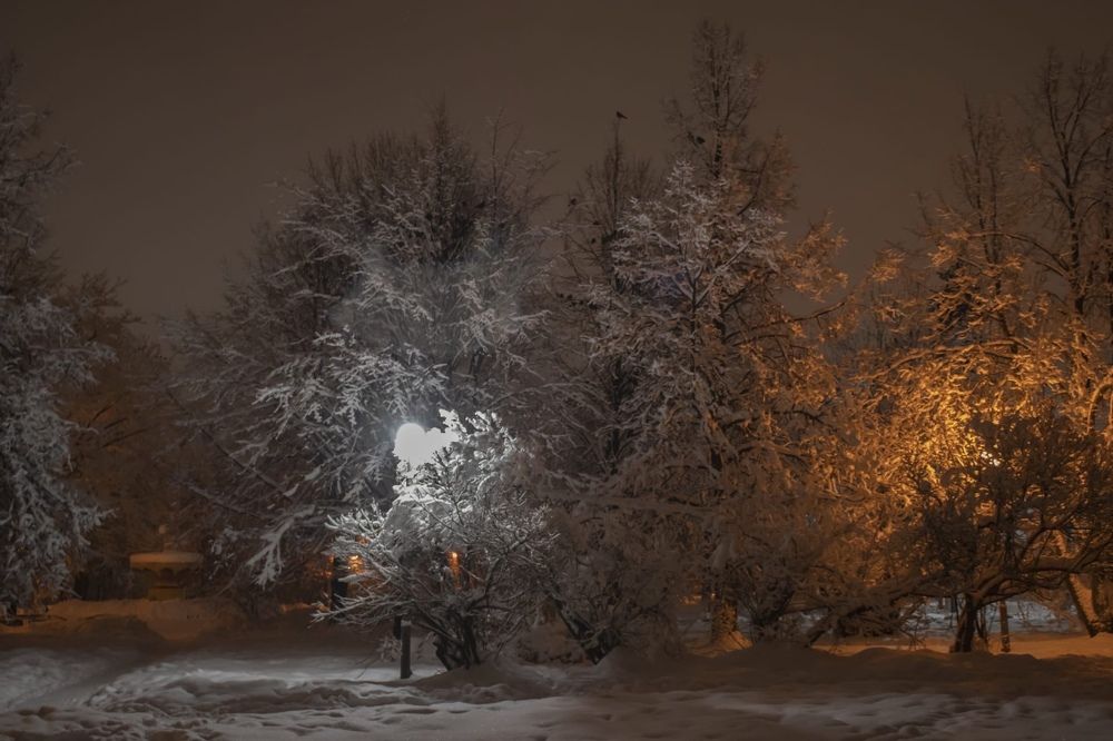 Photograph by Эдуард Седельник