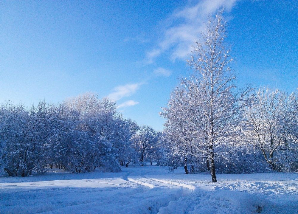 Photograph by Эдуард Седельник