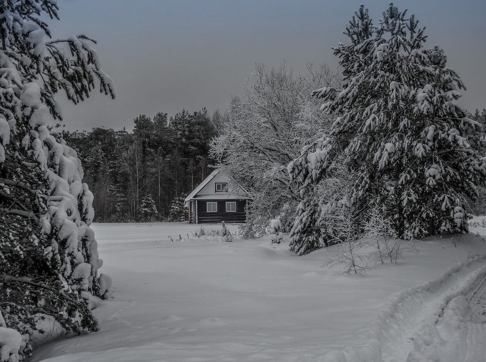 Photograph by Эдуард Седельник