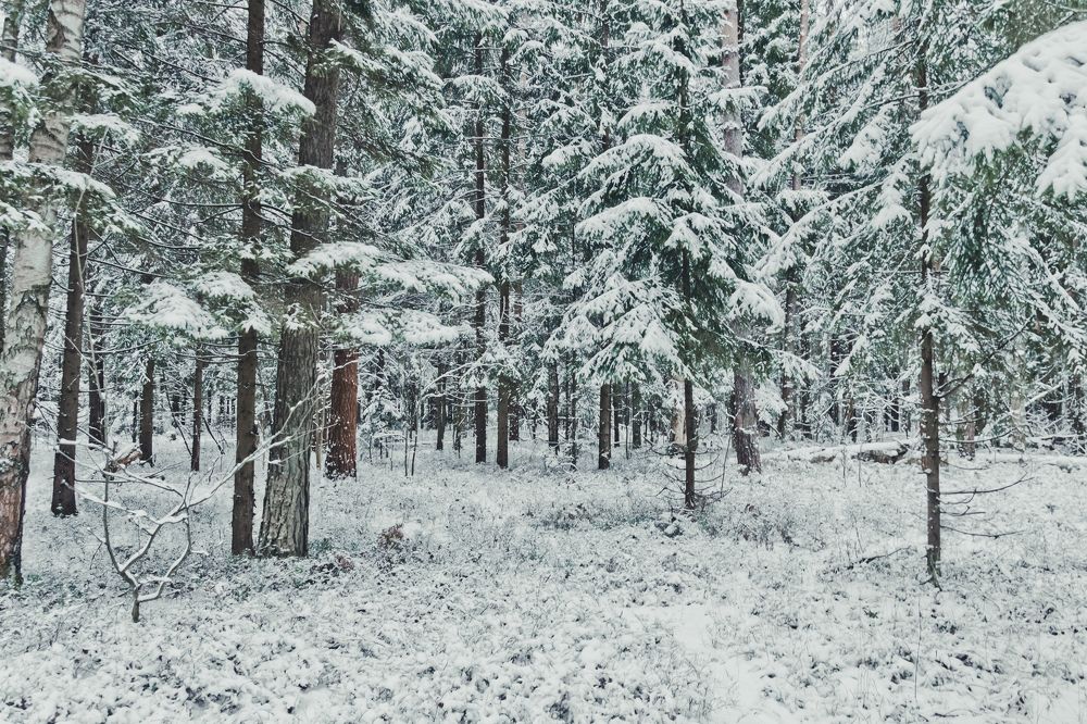 Photograph by Антон Сарвилин