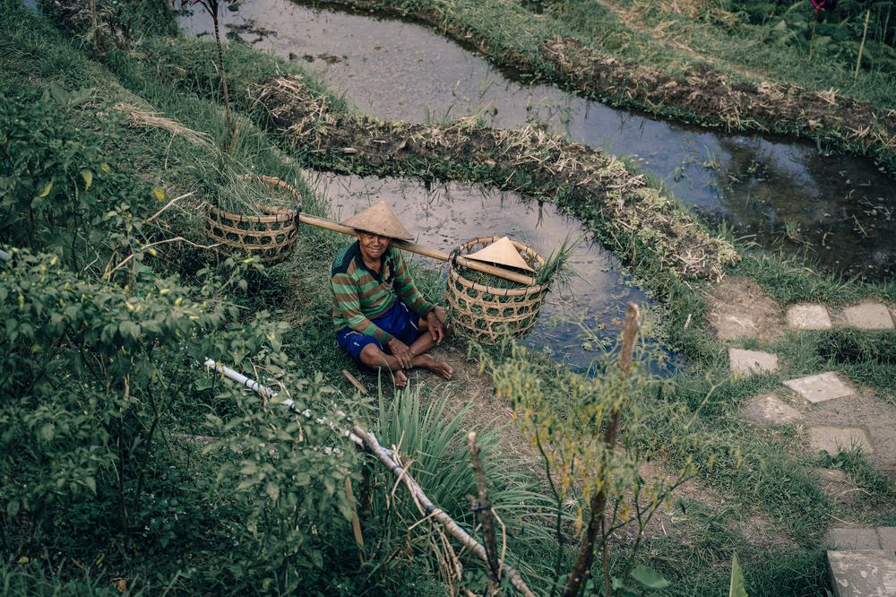 Photograph by Анастасия Оллилайнен