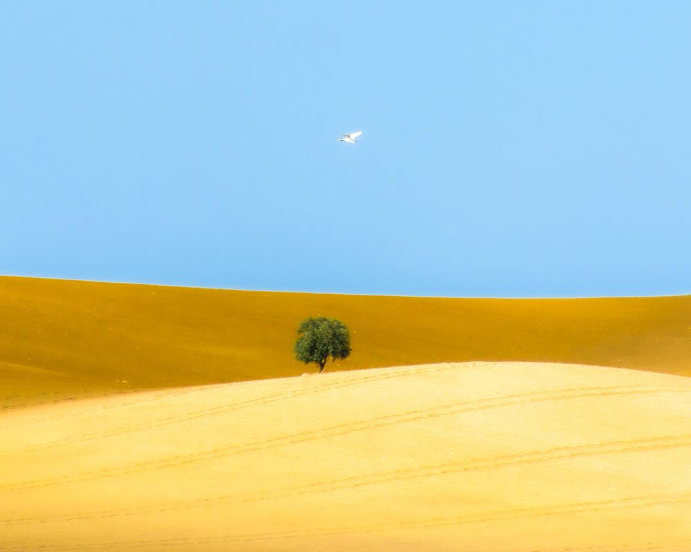 Photograph by Francisco José López Fernández