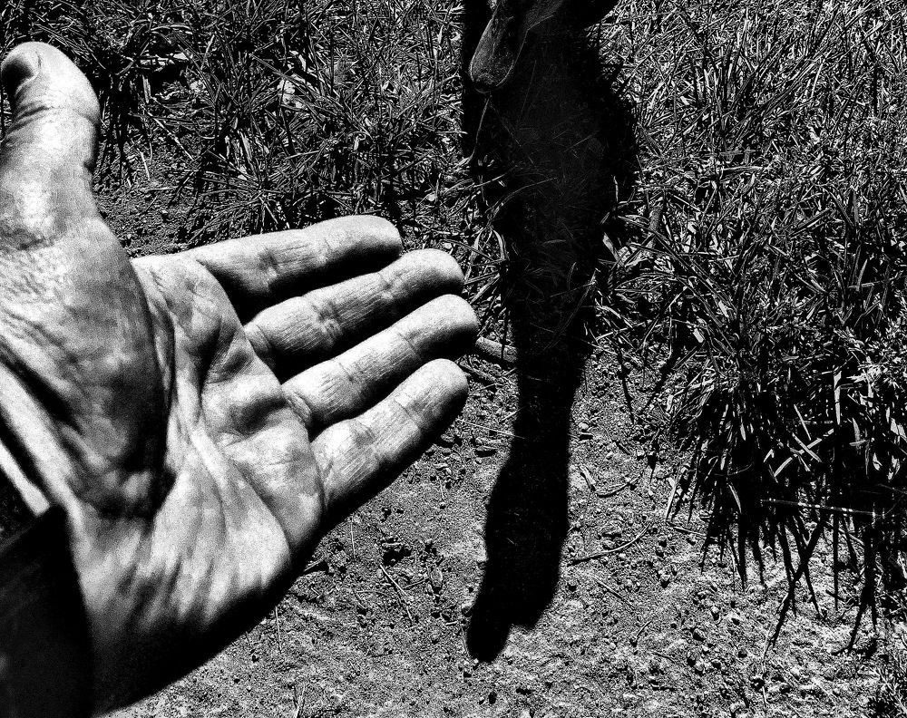 Любопытство...!