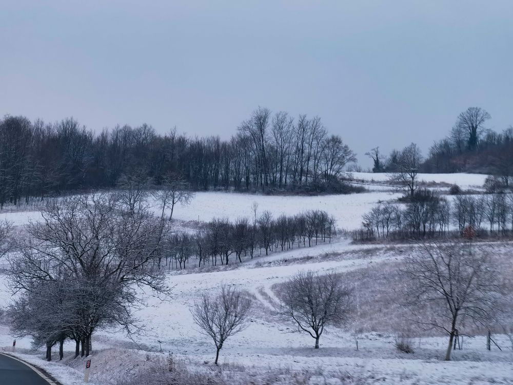 Фотография автора Petar Metić