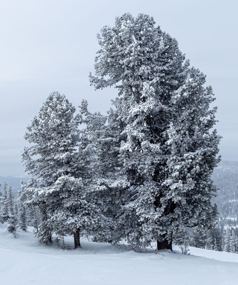 Photograph by Марина Новожилова