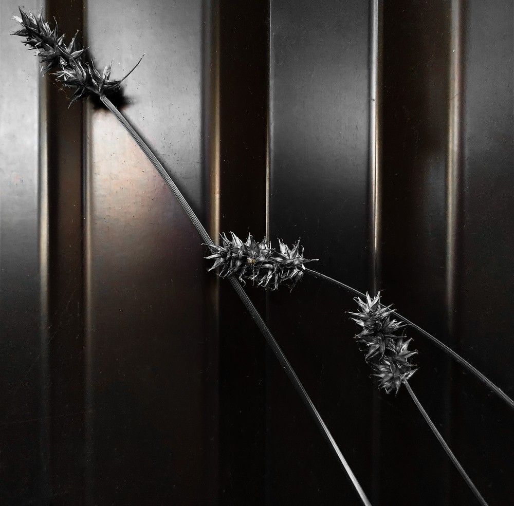 Серебро / Silver