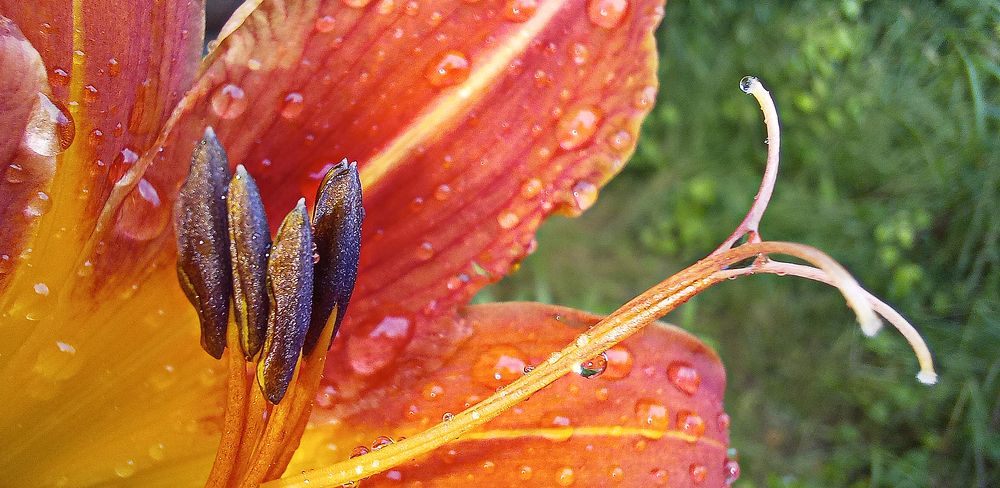 Photograph by Ирина Архипова