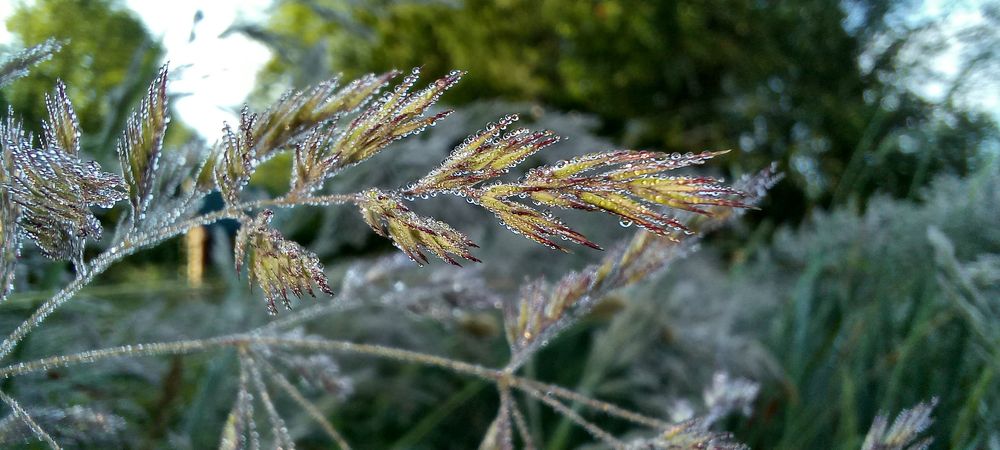 Photograph by Ирина Архипова