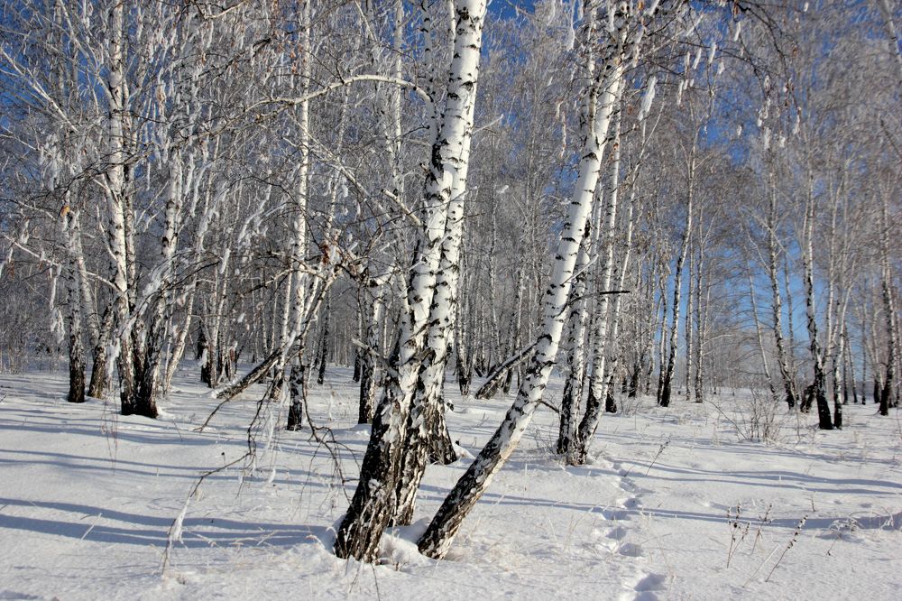 Photograph by Владимир Полотов