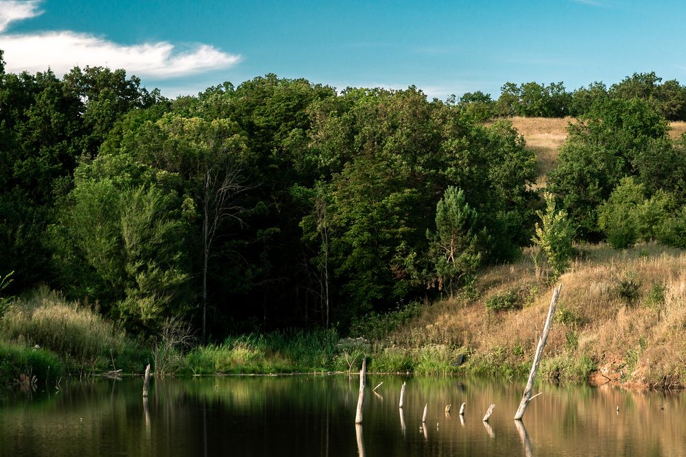 Photograph by Пархимович Евгений