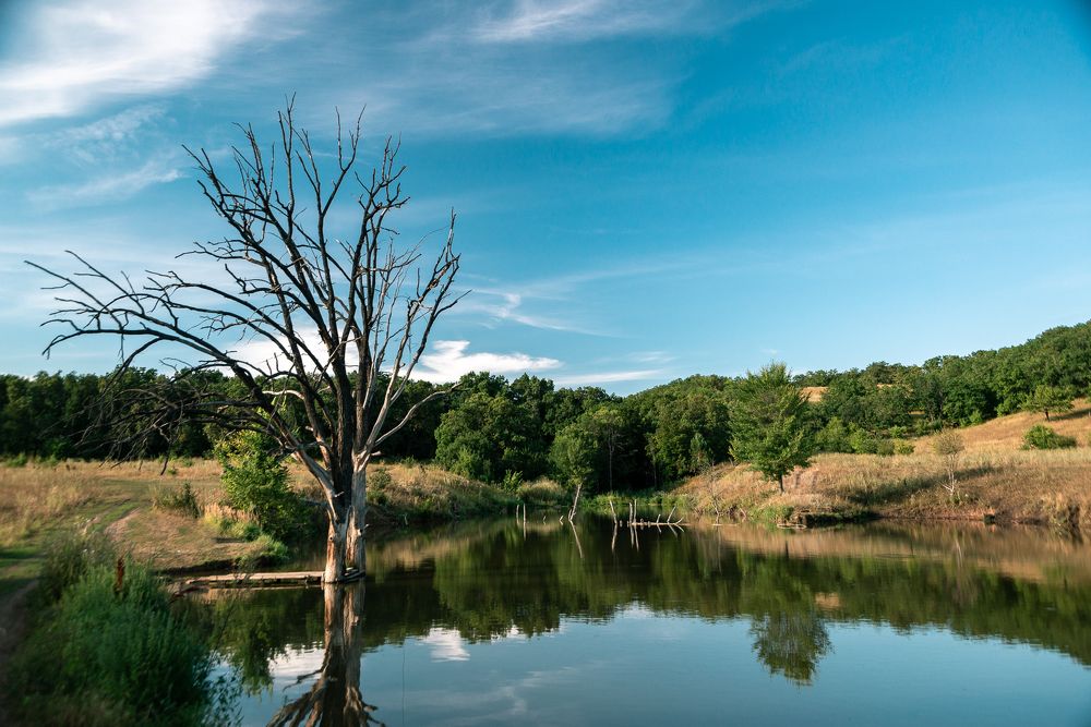 Photograph by Пархимович Евгений