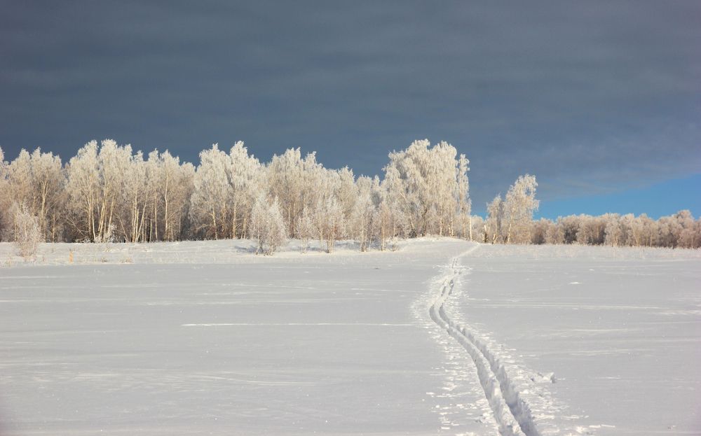 Дорога в сказочный лес