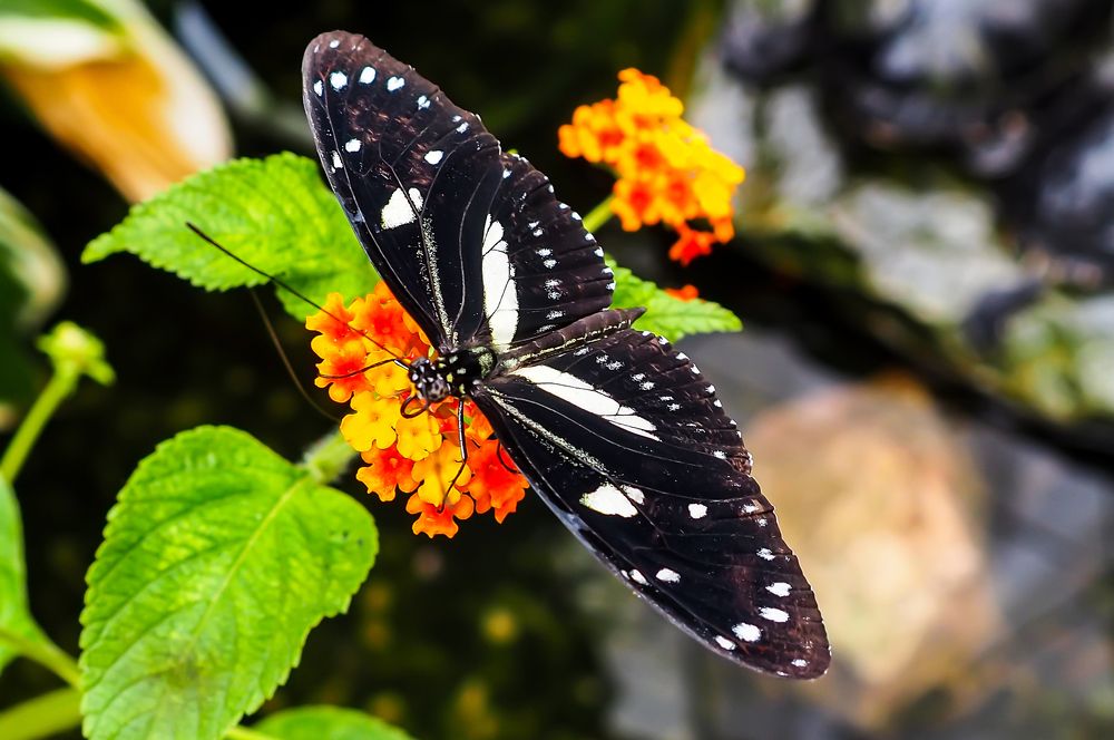 Photograph by Ivars Andrups