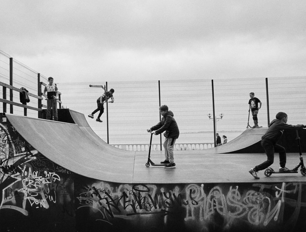 Photo #8515333