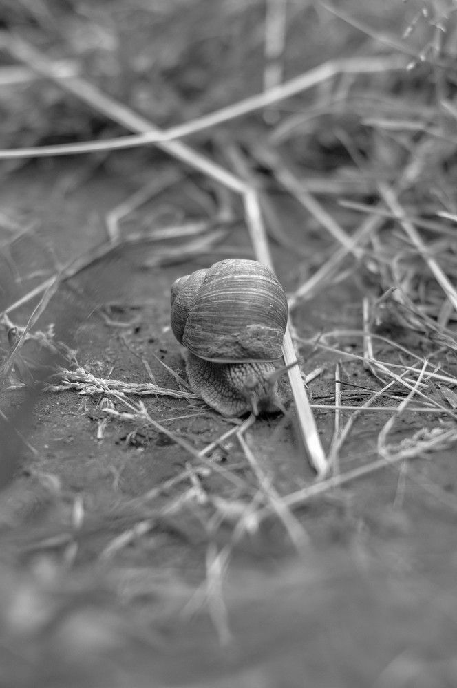 Фотография автора Виталий Дузь