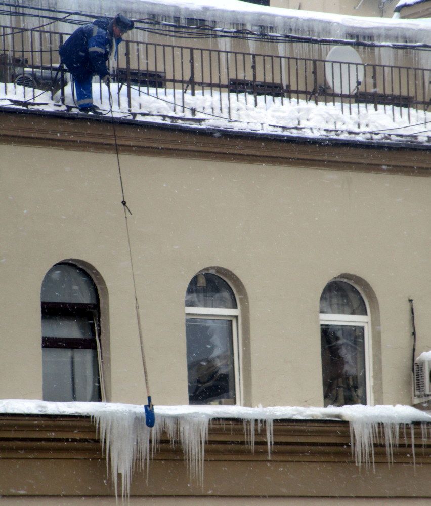 Photo #8515402