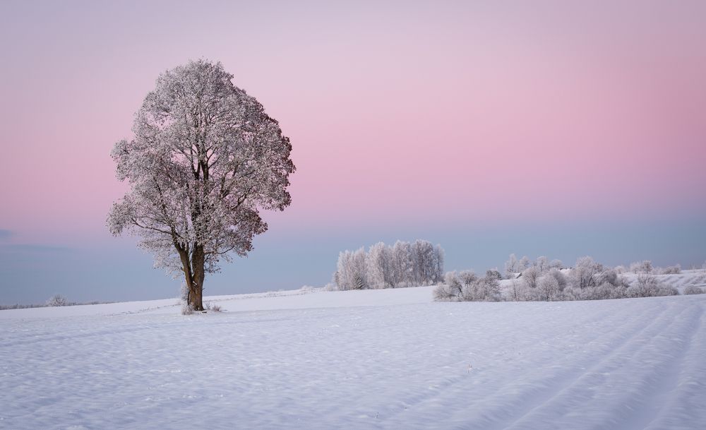 Photograph by Eriks Zilbalodis