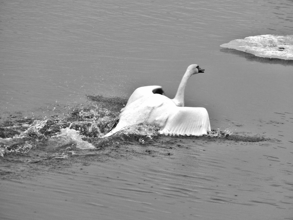 Фотография автора Клавдия Васильева
