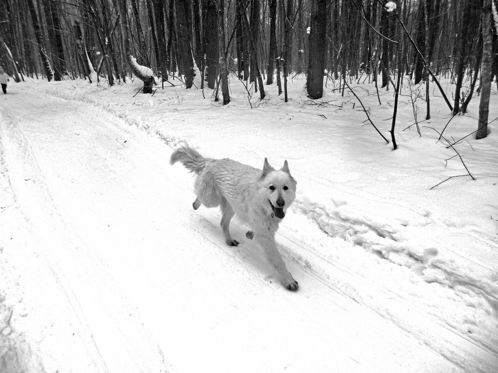 Фотография автора Клавдия Васильева