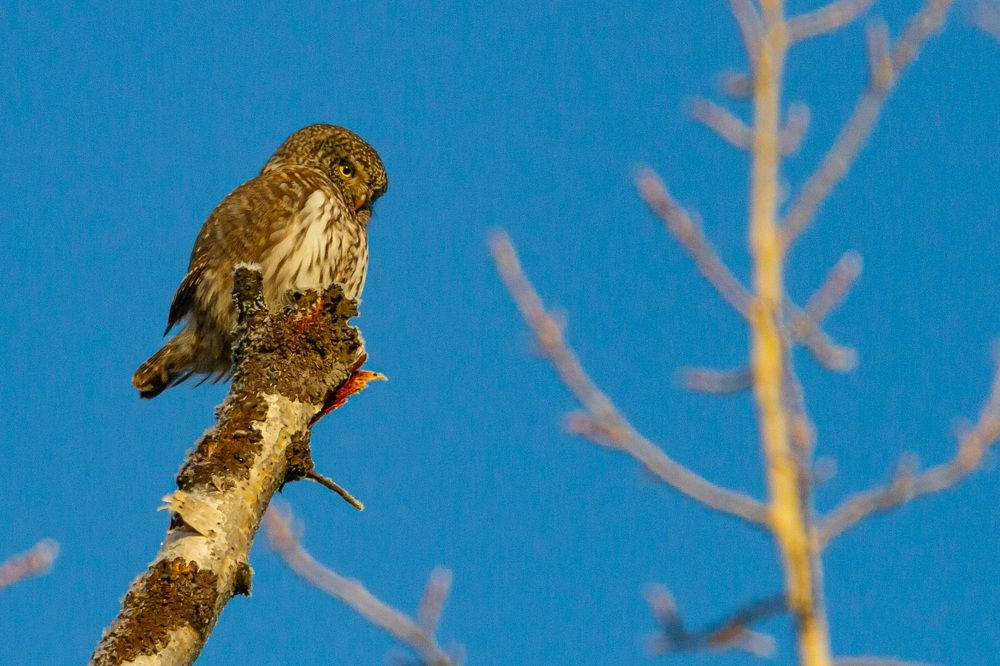 Photograph by Сергей