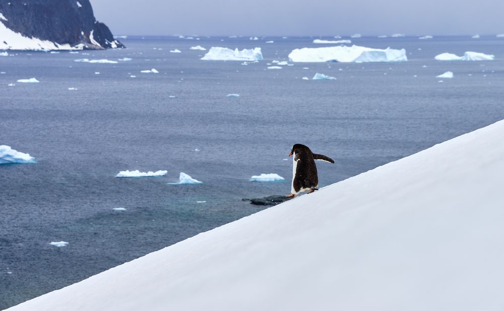 Photograph by Александр Гиль