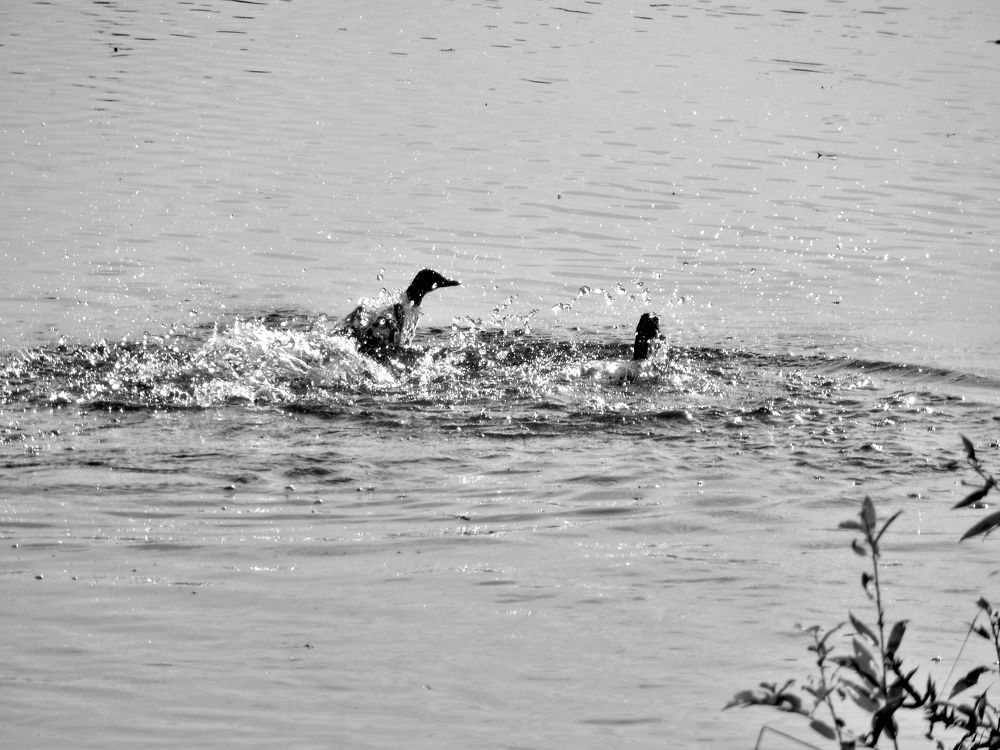 Фотография автора Клавдия Васильева