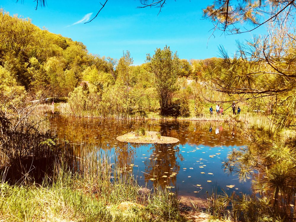 Photograph by Владимир Молостов