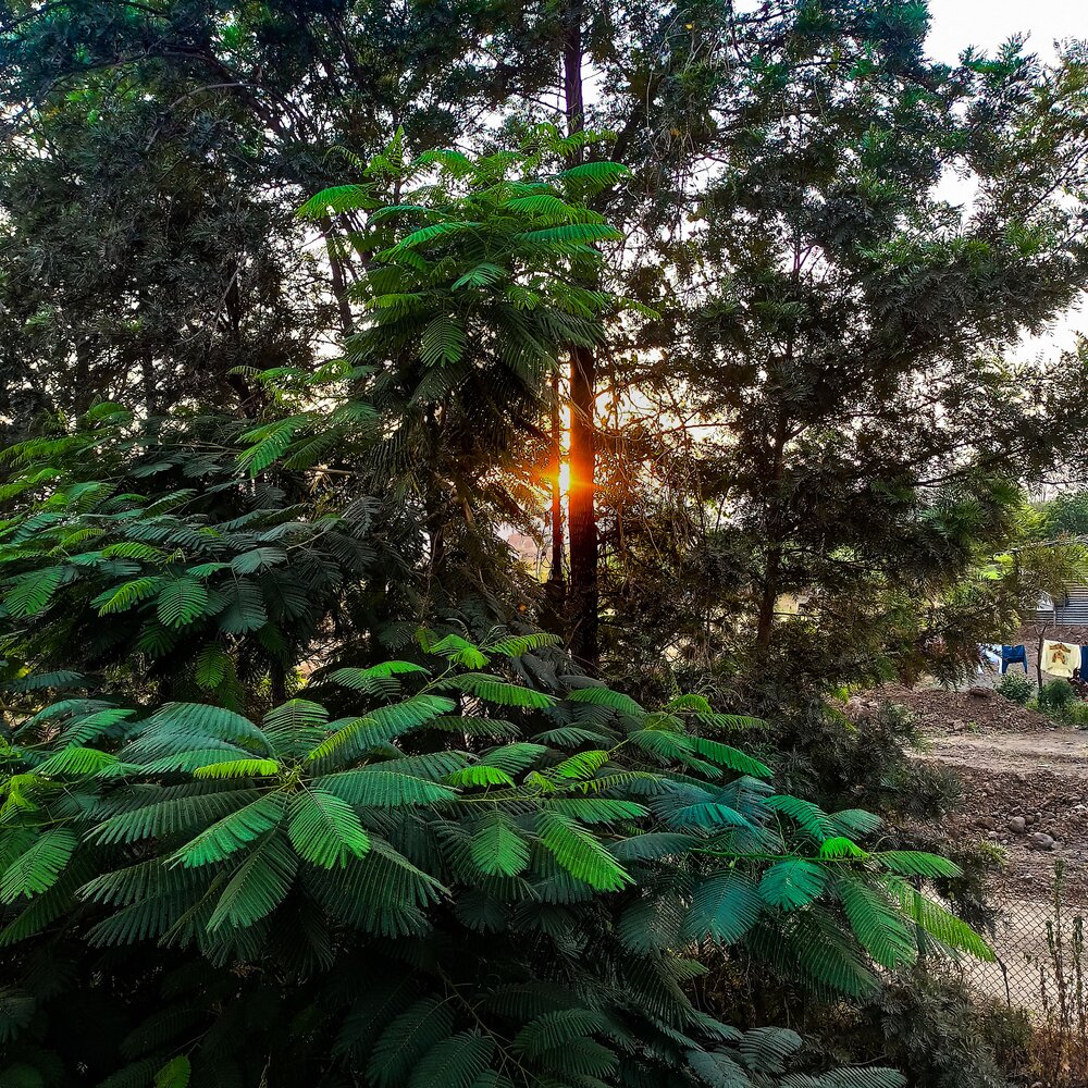 Photograph by Vedant Kalore
