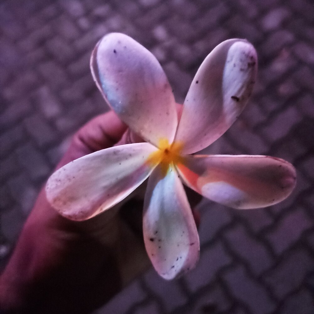 Photograph by Vedant Kalore