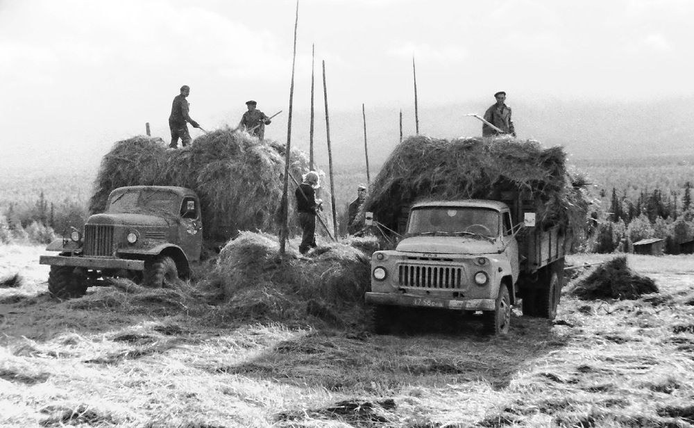 Photograph by Sergei Petrov