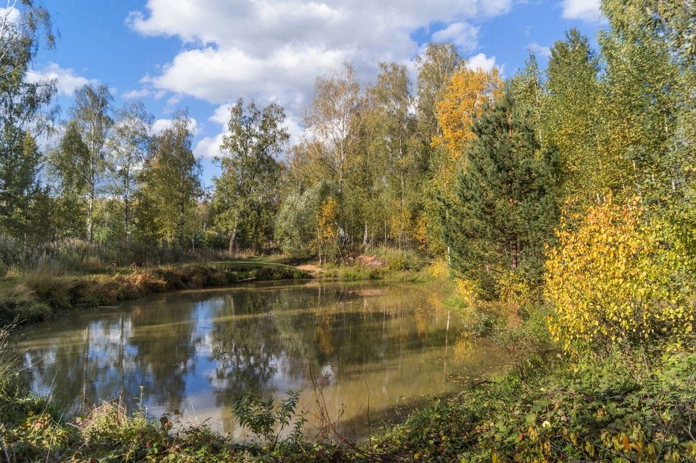 Photograph by Веденин Егор