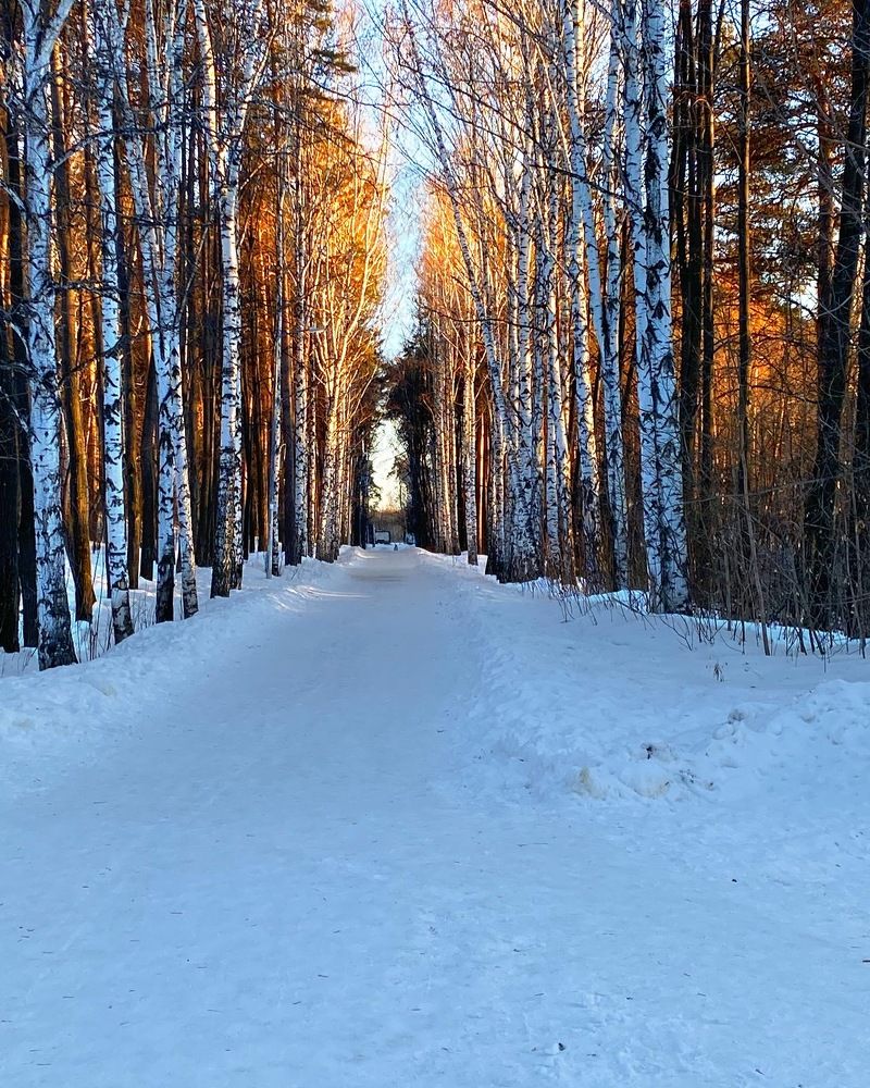 Photograph by Вера Романова