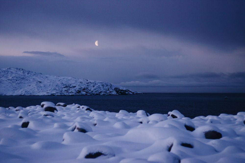 Photo #8515776