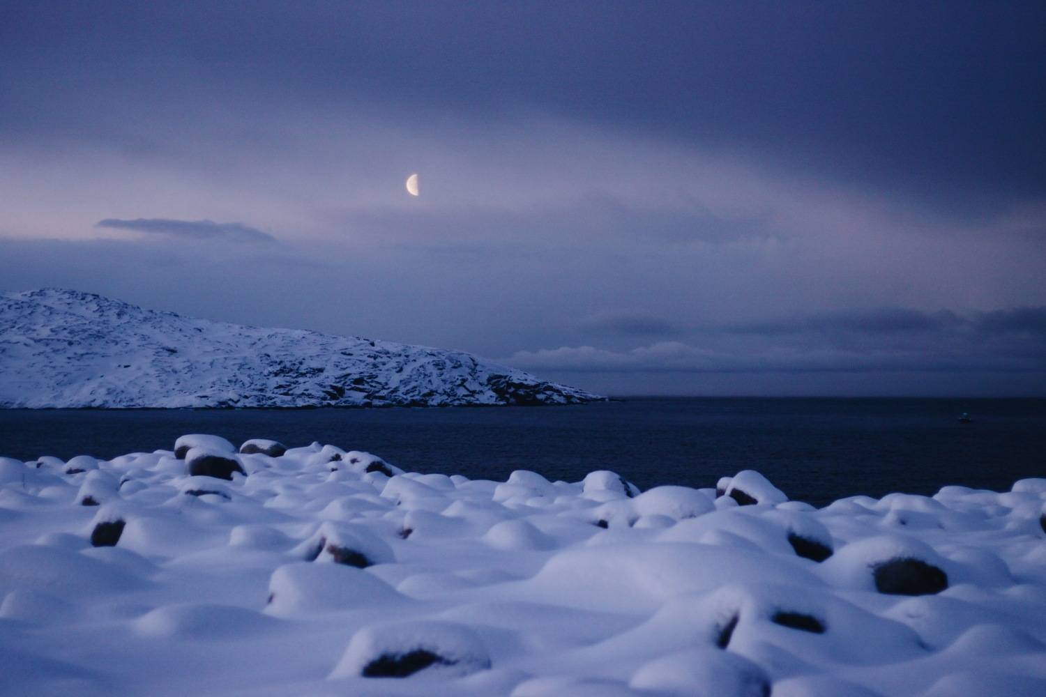 Photo #8515776