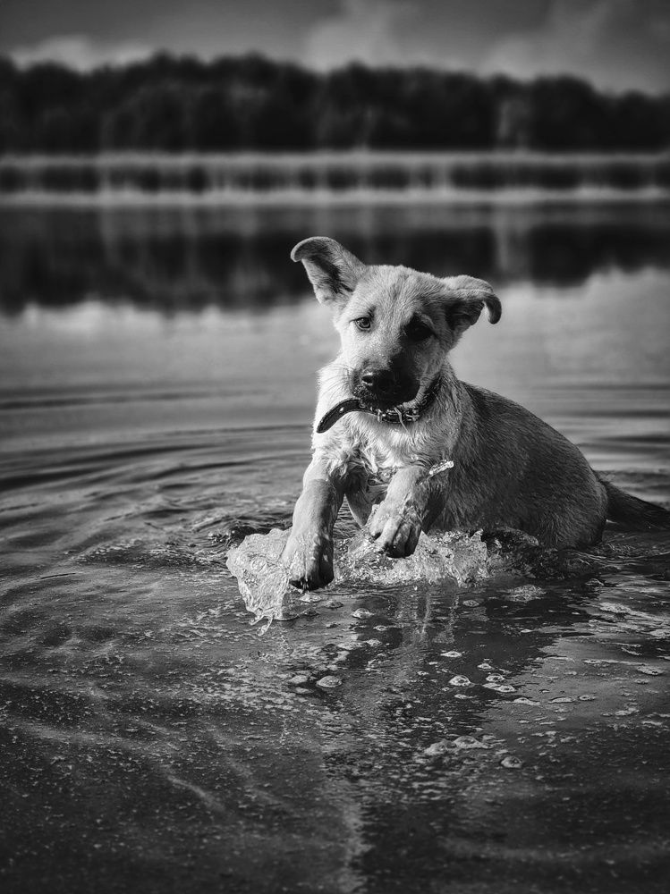 Photograph by Konstantin Martynov