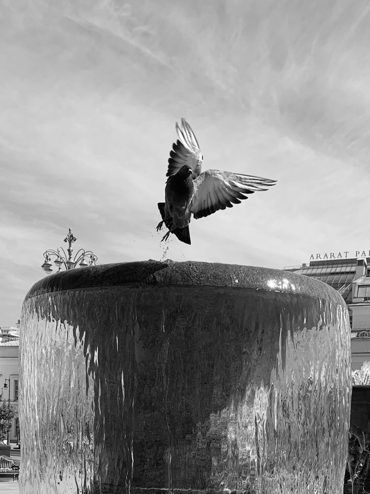 Photograph by Елена Макуха