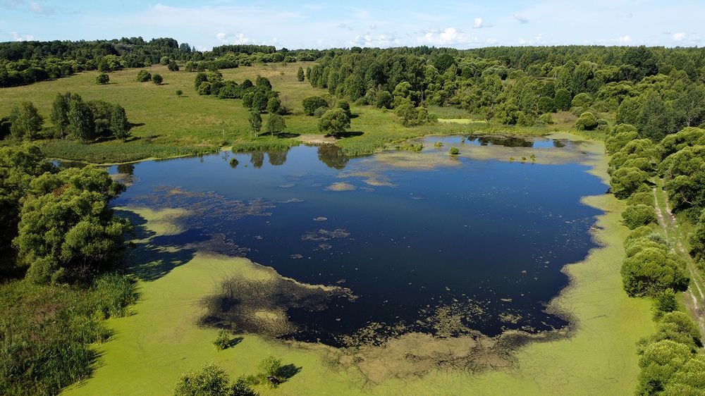 Photograph by Михаил Рассказ