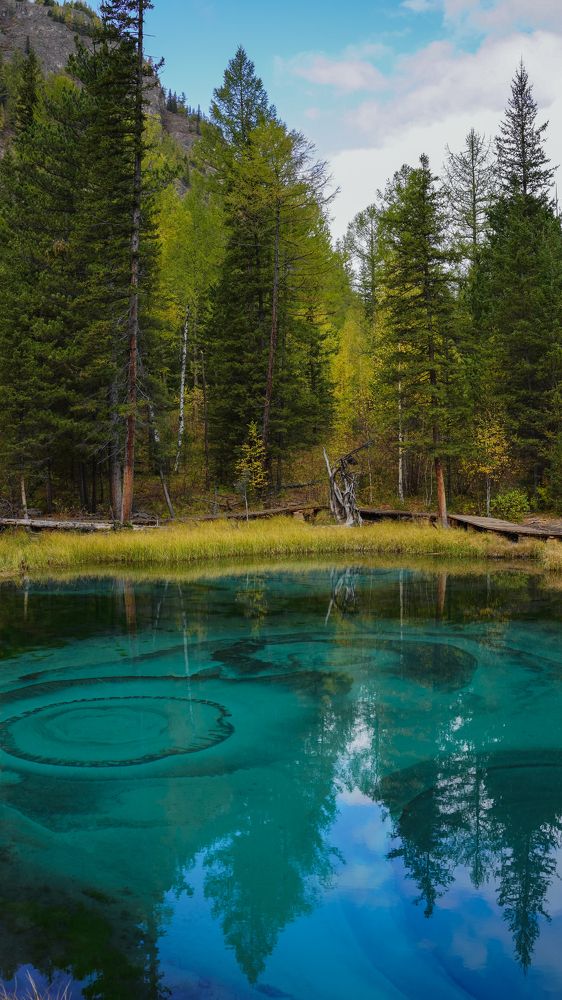 Photograph by Natalya